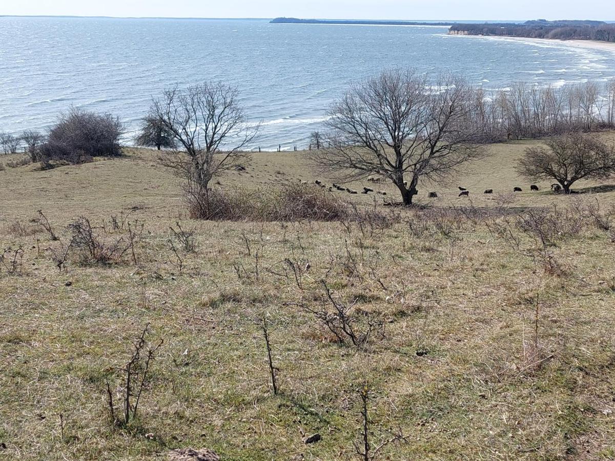 Traumblick Und Komfort - Lichtdurchflutete 85 Qm Wohnung Nahe Suedstrand Goehren Inklusive Schwimmbad Und Sauna Im Ahoi Sellin Esterno foto